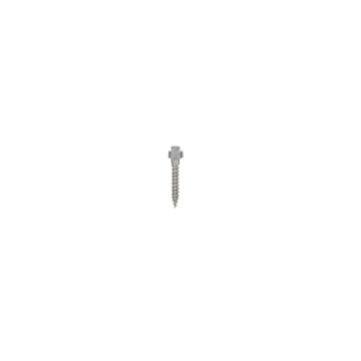 Mini-implant palatinal expander L7mm GH 2mm 2bucati Leone