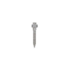 Mini-implant palatinal...