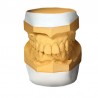 Gips articulator SheraArti white 20kg Shera