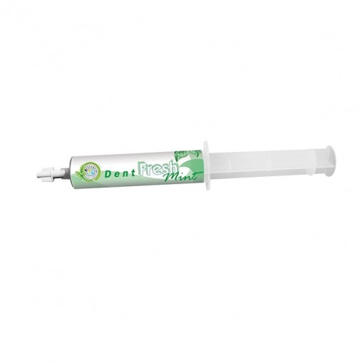 Concentrat apa de gura DentFresh Mint Refill 50ml Cerkamed
