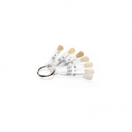 Cheie culori GC Initial MC Chroma Shade Translucent