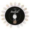 GC Initial LiSi Shade Guide Dentine Colours 1CD