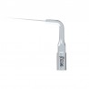 Ansa detartraj endo E96 Woodpecker