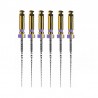 ProTaper Ultimate Slider 25mm 6 ace mov Dentsply