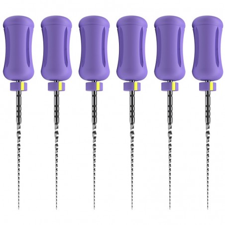 Protaper Ultimate Manual Slider 25mm 6 ace Dentsply