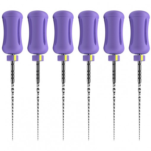 Protaper Ultimate Manual Slider 21mm 6 ace Dentsply