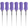 Protaper Ultimate Manual Slider 31mm 6 ace Dentsply