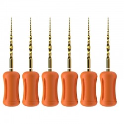 Protaper Ultimate Manual SX...
