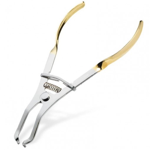 Forceps pentru Palodent V3 Dentsply