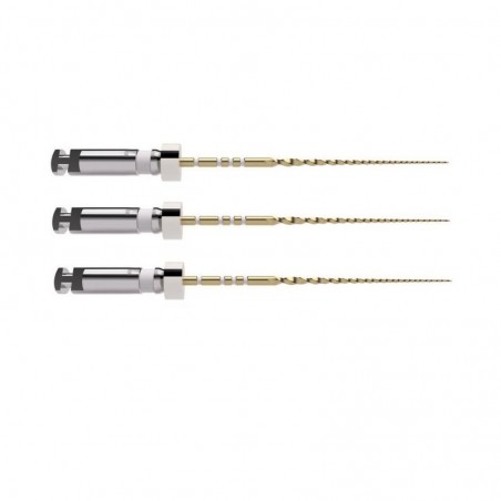 TruNatomy Glider 21mm 3 ace Dentsply