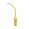 Ansa detartraj endo E11T Woodpecker