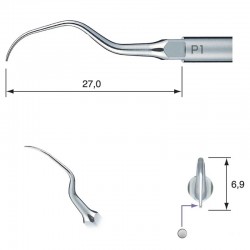 Ansa detartraj Varios P1 NSK