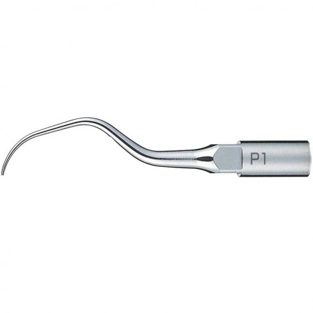 Ansa detartraj Varios P1 NSK