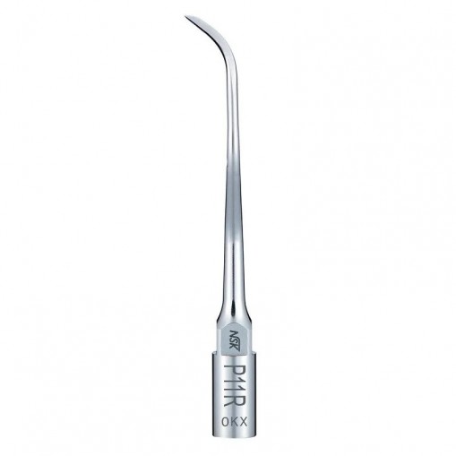 Ansa parodontala P11R Varios NSK