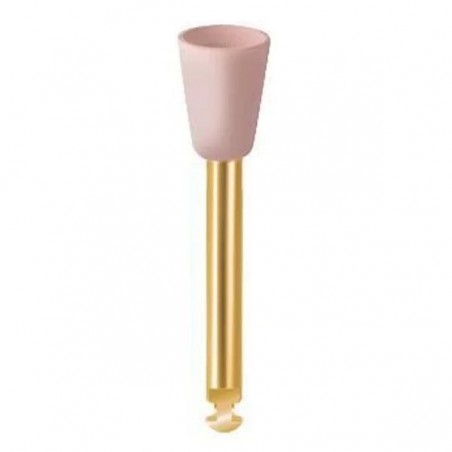 Guma diamantata cupa Diacomp Plus DCP3m roz Eve