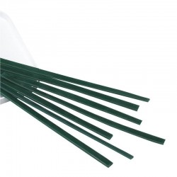 Ceara Profile Bego 1.6 X 4mm