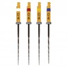 Ace Rotative HyFlex CM NiTi .06 31mm Coltene
