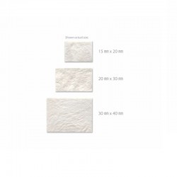Membrana colagen 30x40mm TG-3 Hyundai Bioland