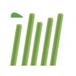 Ceara bara linguala...