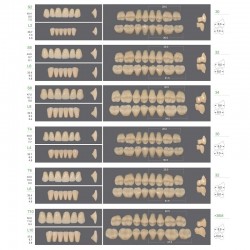 Garnitura dinti Huge Kaili A4