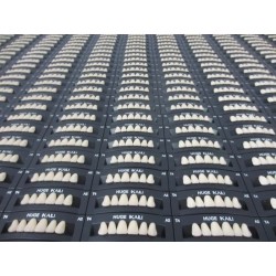 Garnitura dinti Huge Kaili C3