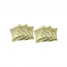GC LiSi PressVest Pulbere 100g