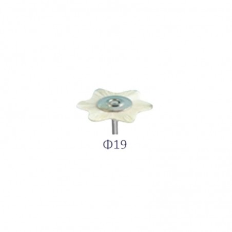 Perie lustru alba montata Soft 19mm star Song Young