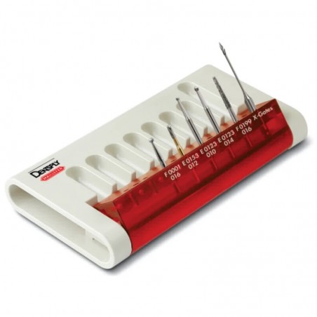 Cavity Access Set Dentsply