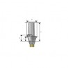 Bont drept cimentabil TiDesign EV D5.5 (M) PrimeTaper Dentsply