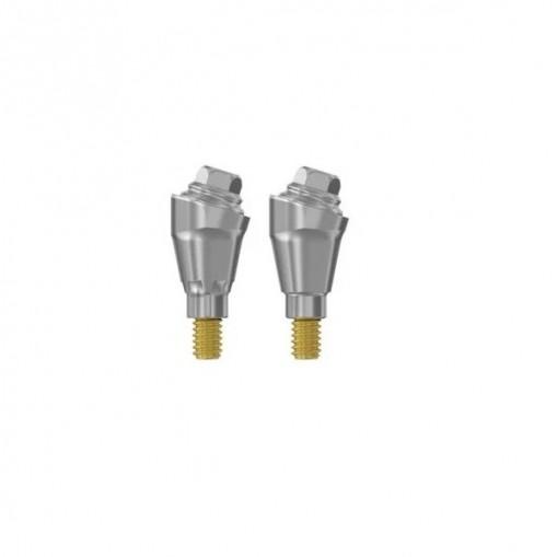 Bont Multi-Unit anti-rotational angulatie 17° (S) PrimeTaper Dentsply