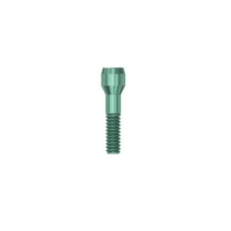 Surub pentru bonturi cimentabile EV XS Dentsply