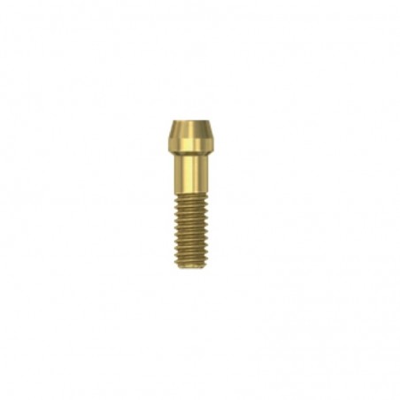 Surub pentru bonturi cimentabile EV M Dentsply