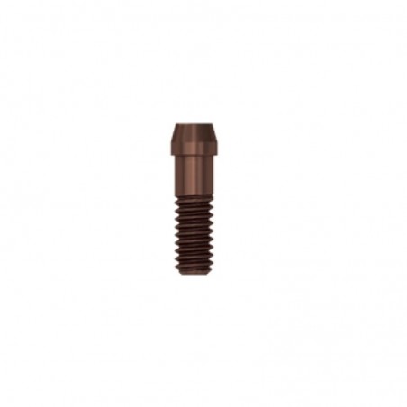 Surub pentru bonturi cimentabile EV XL Dentsply