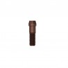 Surub pentru bonturi cimentabile EV XL Dentsply