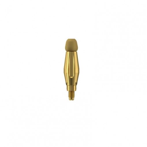 Bont transfer pentru lingura inchisa PrimeTaper M scurt Dentsply