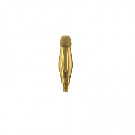 Bont transfer pentru lingura inchisa PrimeTaper M scurt Dentsply