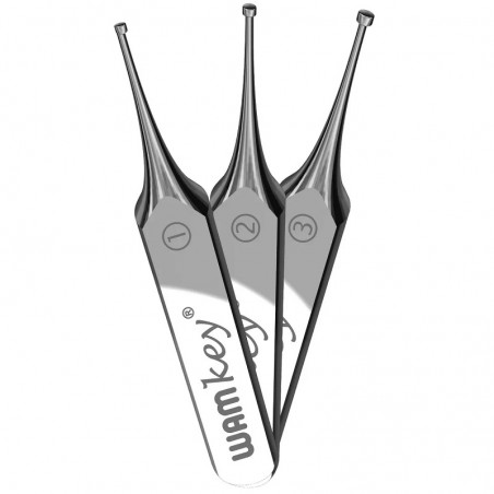 WAMkey Intro Kit