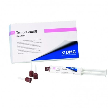 TempoCem NE Smartmix Seringa 11g DMG