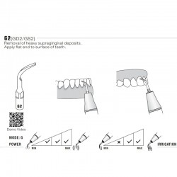 Ansa detartraj GD2T Woodpecker