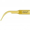 Ansa detartraj GD2T Woodpecker