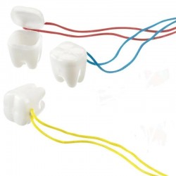 Cutie dintisor cu snur...