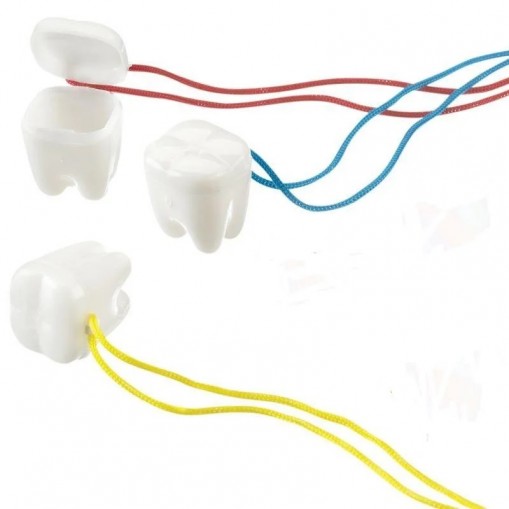 Cutie dintisor cu snur colorat Tribest