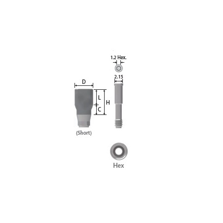Bont scurt pentru scanare Scanbody L4 (6) Inno