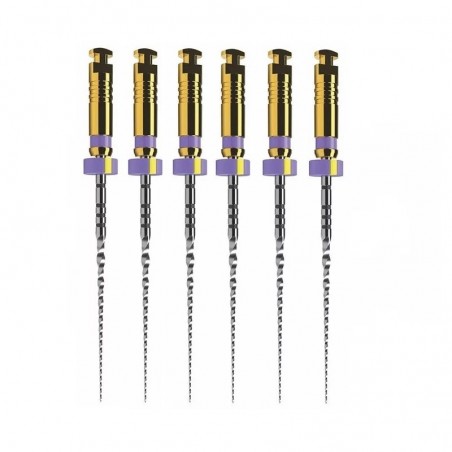 ProTaper Ultimate Slider 31mm 6 ace mov Dentsply