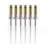 ProTaper Ultimate Slider 31mm 6 ace mov Dentsply