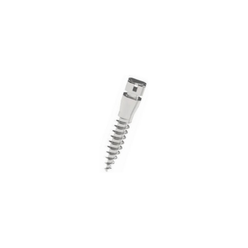 Mini Implant autoforant Dual Slot Cap Inalt D2 L8 Leone