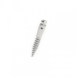 Mini-implant cu canelura D2 L8 Cap Scurt Leone