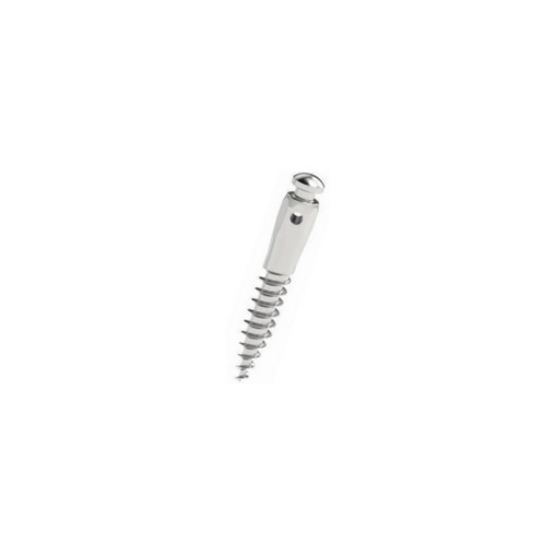 Mini-implant cu canelura D2 L8 Cap Inalt Leone