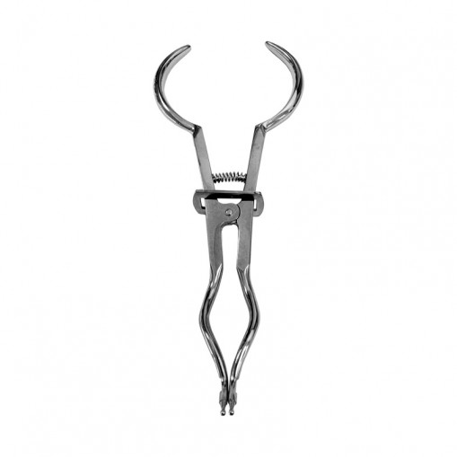 Cleste cleme diga Brewer 17cm Medenta