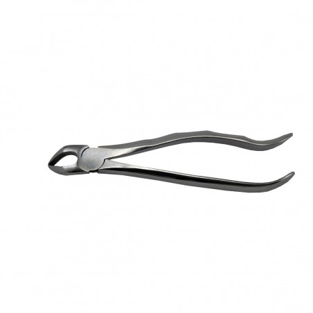 Cleste Extractie Radacini Inferioare 31 Prima